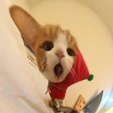 Nguyễn Quốc Việt avatar