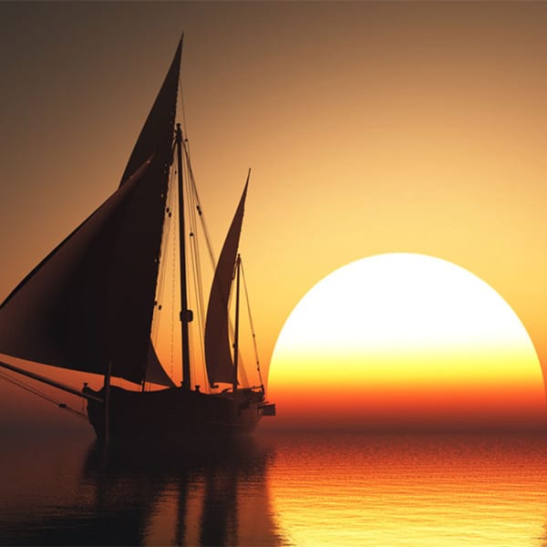 Lê Thị Bích avatar